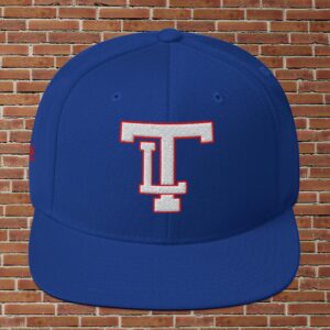 Tech Retro Baseball Logo Snapback Hat